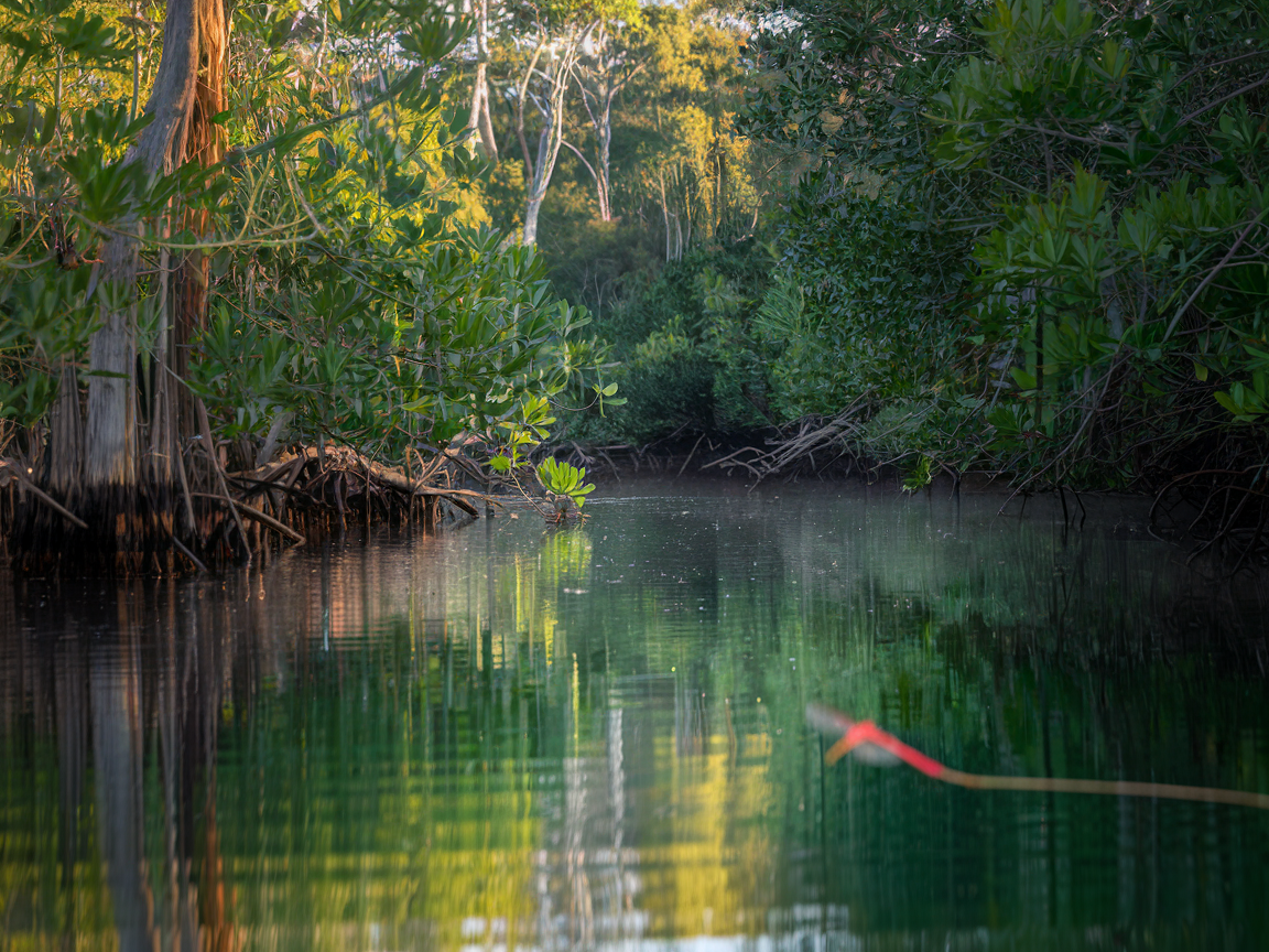 Aboriginal paddleboarding in NSW - What to Expect on the Water